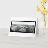 De Foto 1908 van het Honkbal van de Reuzen van Kaart (Gele Bloem)