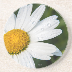 de foto, een margueritte, doen groen zandsteen onderzetter
