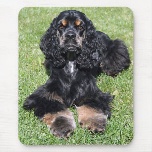De Foto Mousepad van de cocker-spaniël Muismat