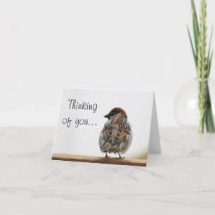 De foto van de mus kaart