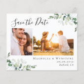 De Foto van Eucalyptus van de begroting sparen het (Voorkant)