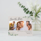 De Foto van Eucalyptus van de begroting sparen het (Staand voorkant)