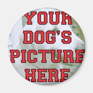 De foto van uw hond Gepersonaliseerd Magneet