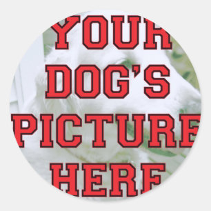 De foto van uw hond Gepersonaliseerd Ronde Sticker