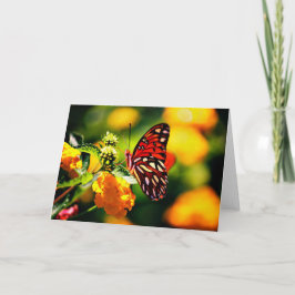 De Fotografie van de natuur Kaart