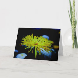 De Fotografie van de natuur Kaart