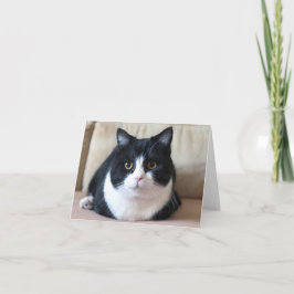 De fotokaart van Manchester Kaart