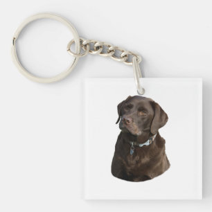 De fotoportret van de Labrador van de chocolade Sleutelhanger