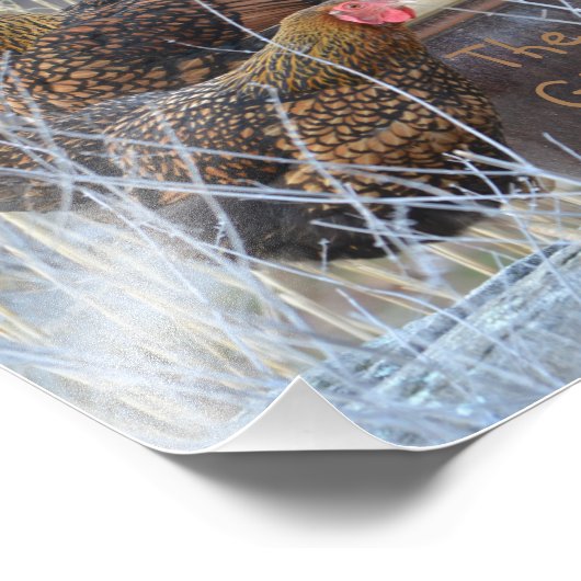 De foto's voor meisjes foto afdruk (Hoek)