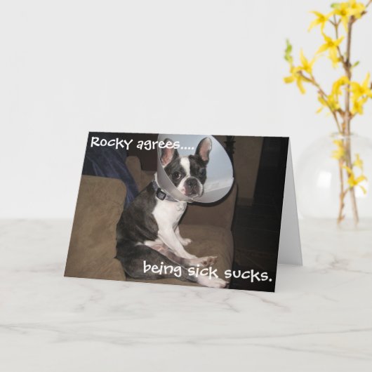 De Franse Buldog wordt goed spoedig Kaart (Gele Bloem)