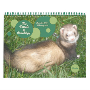 De fretten van Chanology Kalender