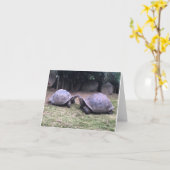 de Galapagos schildpad notecard Kaart (Gele Bloem)