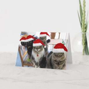 De Gang Extra Milk kerstkaart Feestdagen Kaart