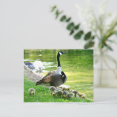 De gansfamilie van Canada Briefkaart (Staand voorkant)