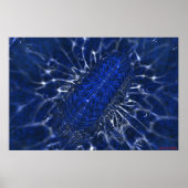 De geboorte poster (Voorkant)