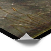 De geboorte van Venus Poster (Hoek)