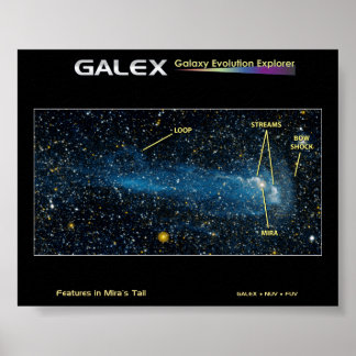 De gedetailleerde Ster Mira met Lijn Poster