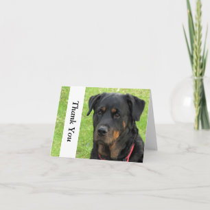 De geest Rottweiler dankt u nota neemt van Kaart