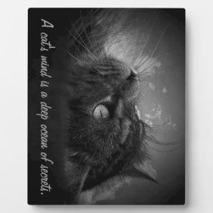 De geest van een kat is een diepe oceaan van gehei fotoplaat