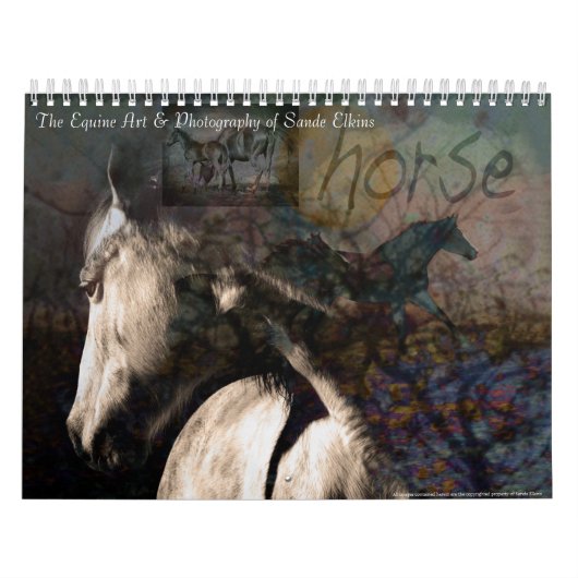 De geest van het paard kalender (Hoes)