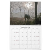 De geest van het paard kalender (Feb 2026)