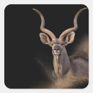 De geest van Kudu Vierkante Sticker