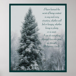 De geheime Christelijke winterscène Poster