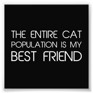 De gehele kattenpopulatie is mijn beste vriend foto afdruk