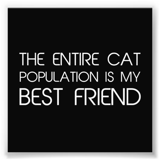 De gehele kattenpopulatie is mijn beste vriend foto afdruk (Voorkant)