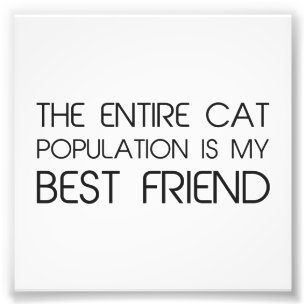 De gehele kattenpopulatie is mijn beste vriend foto afdruk
