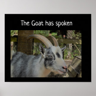 De geit heeft poster gesproken