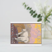 De Geit van de berg - het Nationale Park van de Briefkaart (Staand voorkant)