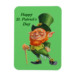 DE GEKKE LEPRECHAUN-magneet Magneet