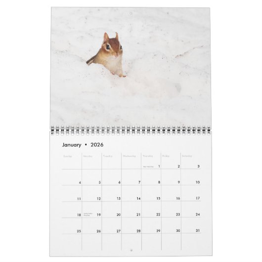 De gekke Leuke Kalender van Aardeekhoorns 2013 (Jan 2026)