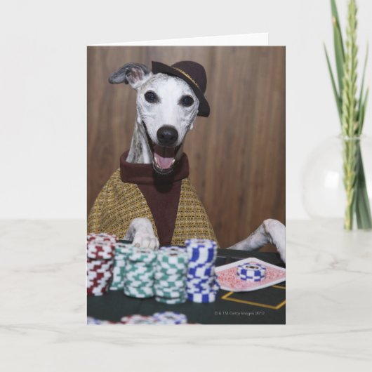 De geklede omhoog hond van de Whippet bij het Kaart (Voorkant)