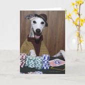 De geklede omhoog hond van de Whippet bij het Kaart (Gele Bloem)