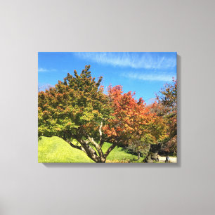 De gekleurde Maple-structuur in het najaar Canvas Afdruk