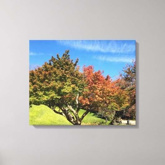 De gekleurde Maple-structuur in het najaar Canvas Afdruk (Voorkant)