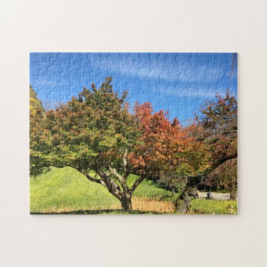 De gekleurde Maple-structuur in het najaar Legpuzzel (Horizontaal)
