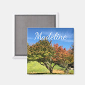 De gekleurde Maple-structuur in het najaar Magneet (Voorkant / Achterkant)