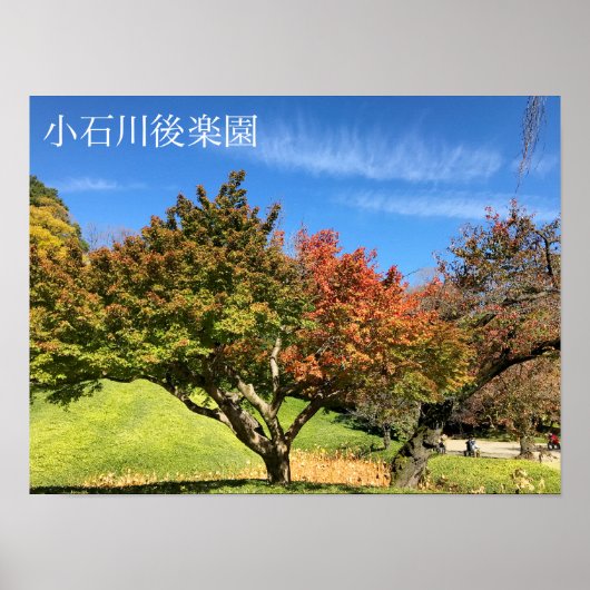 De gekleurde Maple-structuur in het najaar Poster (Voorkant)