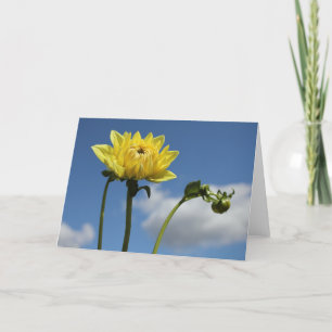 De gele bloem van de Dahlia in de zon Kaart