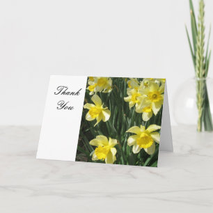 De gele Bloemen van Gele narcissen danken u Bedankkaart