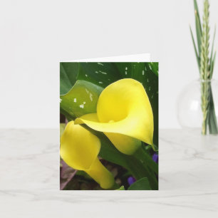 De gele Calla Kaart van de Nota van Lelies