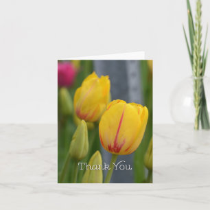 De gele en Rode Tulpen danken u Bedankkaart