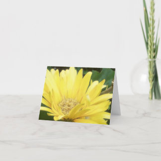 De gele Kaart van de Nota Gerber