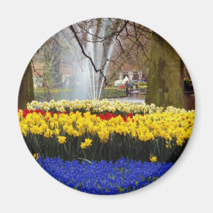 de gele tuinen van Keukenhof, Amsterdam, Nederland Magneet