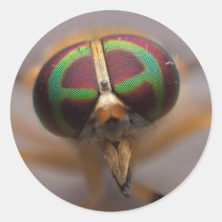 De gele vlieg van het sombere moeras gezicht Stick Ronde Sticker