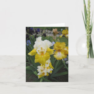 De gele Witte Kaart van de Nota van de Iris Kleine