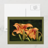 de geledingen van het gebied briefkaart (Voorkant / Achterkant)